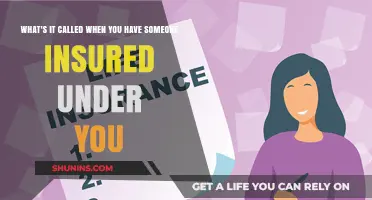 Understanding the Concept of Insurance Beneficiaries