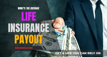 Life Insurance: Understanding the Typical Payout Amounts