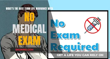 Best No Medical Exam Term Life Insurance Options