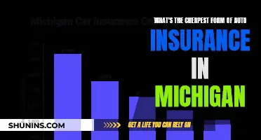 Michigan Auto Insurance: Cheapest Options Explained