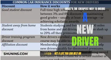 Cheap Car Insurance Tips for New Drivers