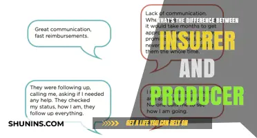 Insurers and Producers: Roles and Responsibilities Explained
