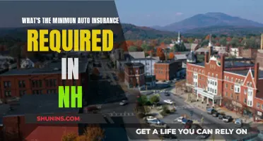 Auto Insurance Basics: Minimum Requirements in New Hampshire