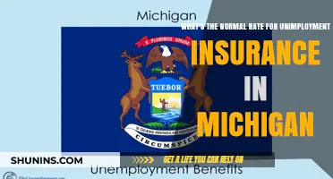 Unemployment Insurance Rates in Michigan: What's Normal?