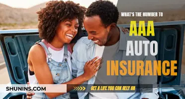 AAA Auto Insurance: Quick Access to Policy Support