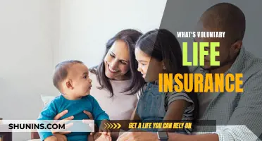 Voluntary Life Insurance: What You Need to Know