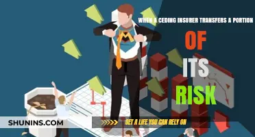 Ceding Insurer: Sharing the Risk Burden