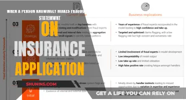 Insurance Fraud: Lying Applicants and Their Consequences