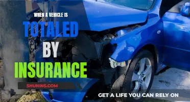 Insurance Write-Offs: What Happens When Your Car Is Totaled