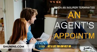 Insurers: Terminating Agent Appointments and What's Next