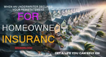 Understanding Home Insurance Reinstatement: Underwriter's Declination