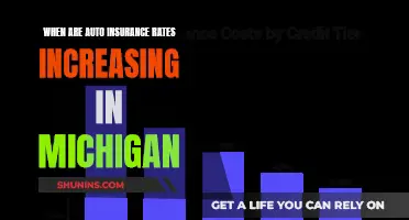 Michigan Auto Insurance Rates: Hike Timing and Reasons