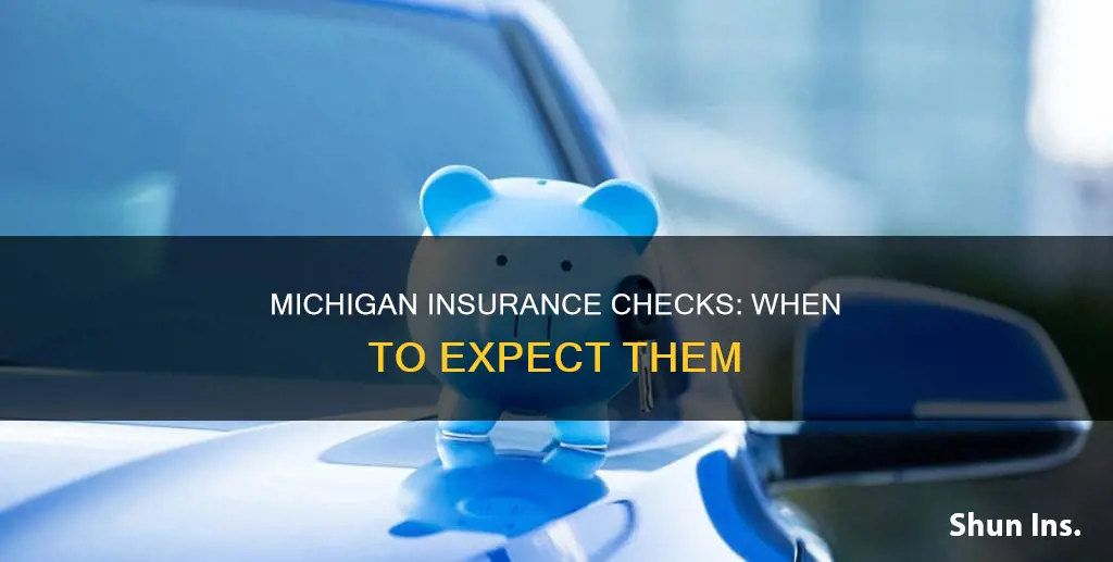 when are insurance checks coming in Michigan