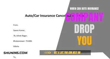 Auto Insurance Companies: When They Can Drop Your Coverage