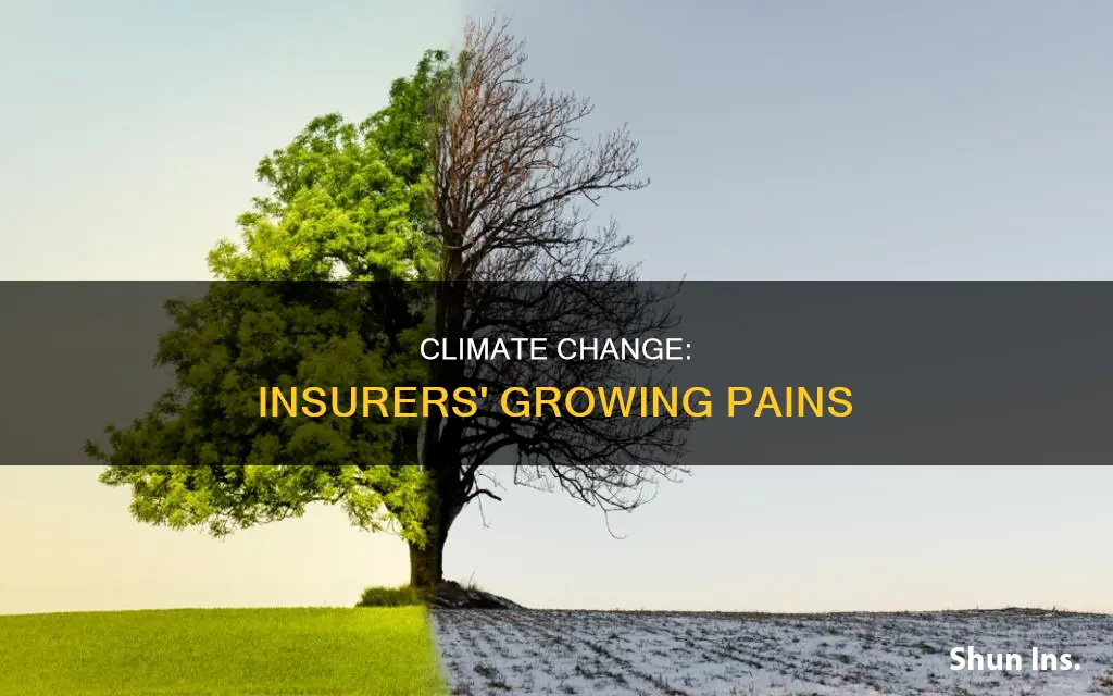 when climate change and the insurance industry collide