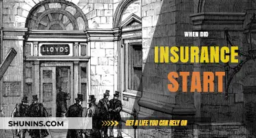 Tracing the Origins: When Did Insurance Begin and Evolve?