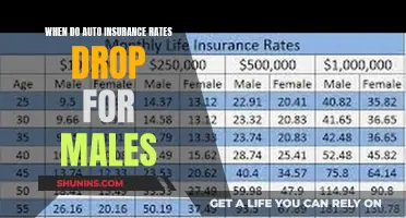 Auto Insurance Rates: Male Drivers and Their Dropping Premiums