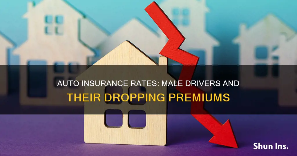 when do auto insurance rates drop for males