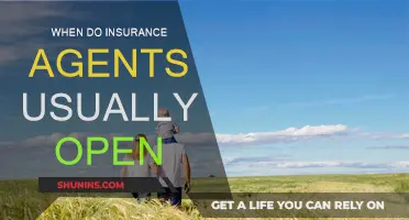 Insurance Agents: What Time Do They Start Work?