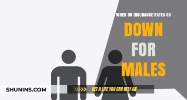 Male Insurance Rates: When Do They Drop?