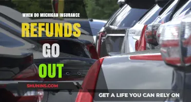 Michigan Insurance Refunds: When to Expect Your Money Back