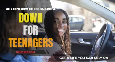 Teenage Auto Insurance Premiums: When Do They Decrease?