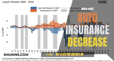 Auto Insurance: When Can You Expect Lower Premiums?