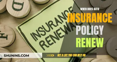 Auto Insurance Policy Renewal: When Does It Happen?