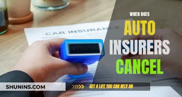 Auto Insurers: When and Why They Cancel Your Policy