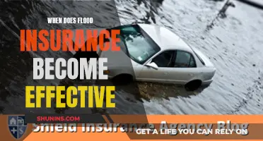 Flood Insurance: Effective Activation and Its Timing