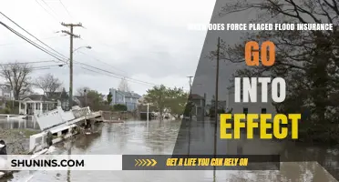 Understanding Force-Placed Flood Insurance: Effective Timing