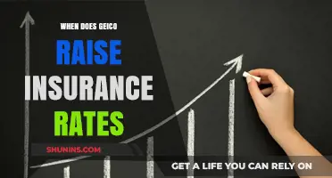 GEICO Insurance Rates: When and Why Do They Increase?