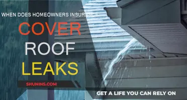 Homeowners Insurance: Roof Leaks Covered?