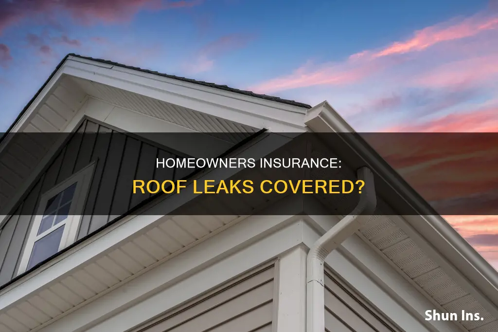 when does homeowners insurance cover roof leaks