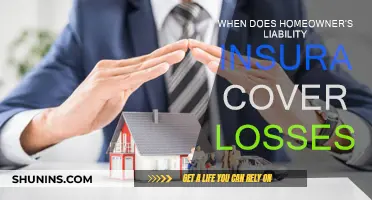 Liability Insurance: When Homeowners Get Covered for Losses