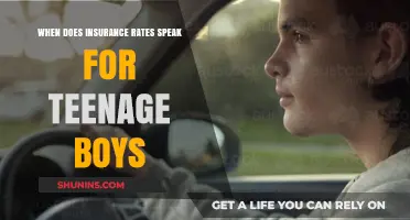 Teenage Boys' Insurance Rates: When Do They Spike?