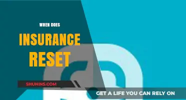 Understanding Insurance Reset: When Does Your Coverage Renew Annually?