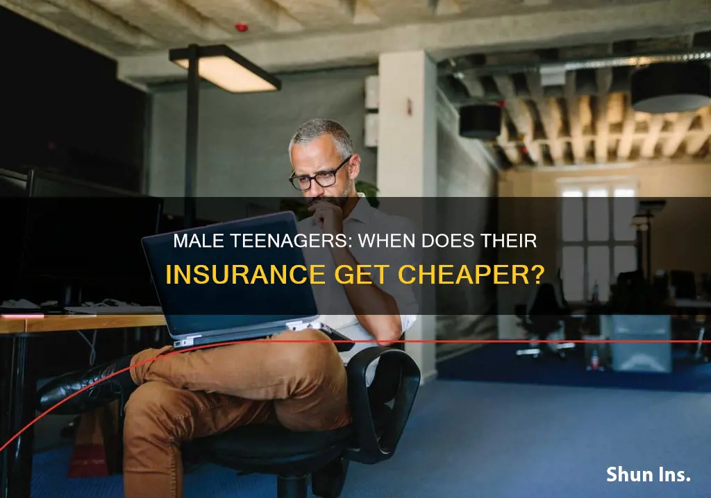 when does male teenagers insurance go down