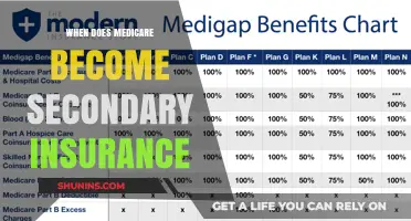 Understanding Medicare's Secondary Insurance Status