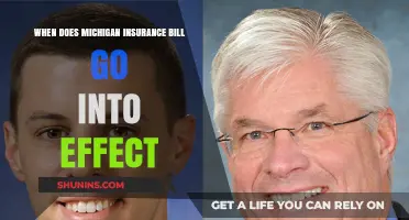 Michigan's New Insurance Law: Effective Date and Changes
