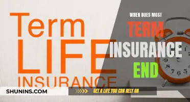 The Fine Print: Understanding the Typical Term of Life Insurance Policies