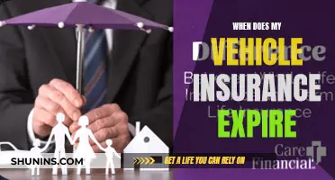 Vehicle Insurance: Expiry and Renewal