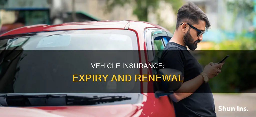 when does my vehicle insurance expire