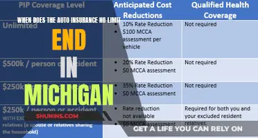 Michigan Auto Insurance: No-Limit End Date Explained