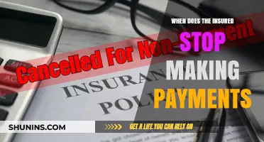 Understanding Insurance Payment Termination