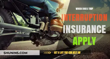 Trip Interruption Insurance: When Does it Apply?