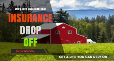 USDA Mortgage Insurance: When Does It End?