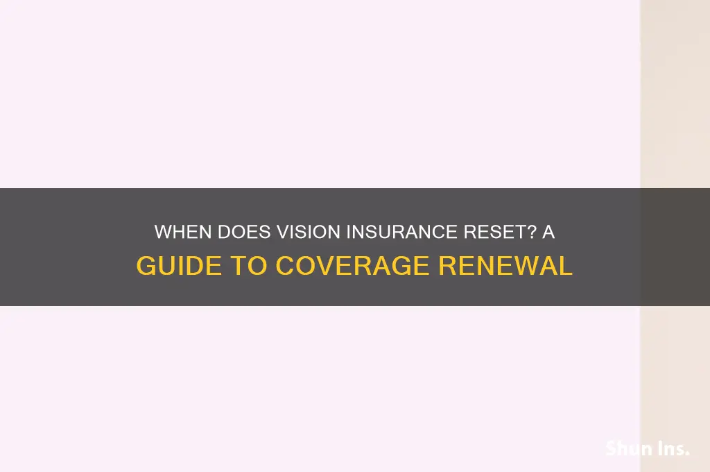 when does vision insurance reset