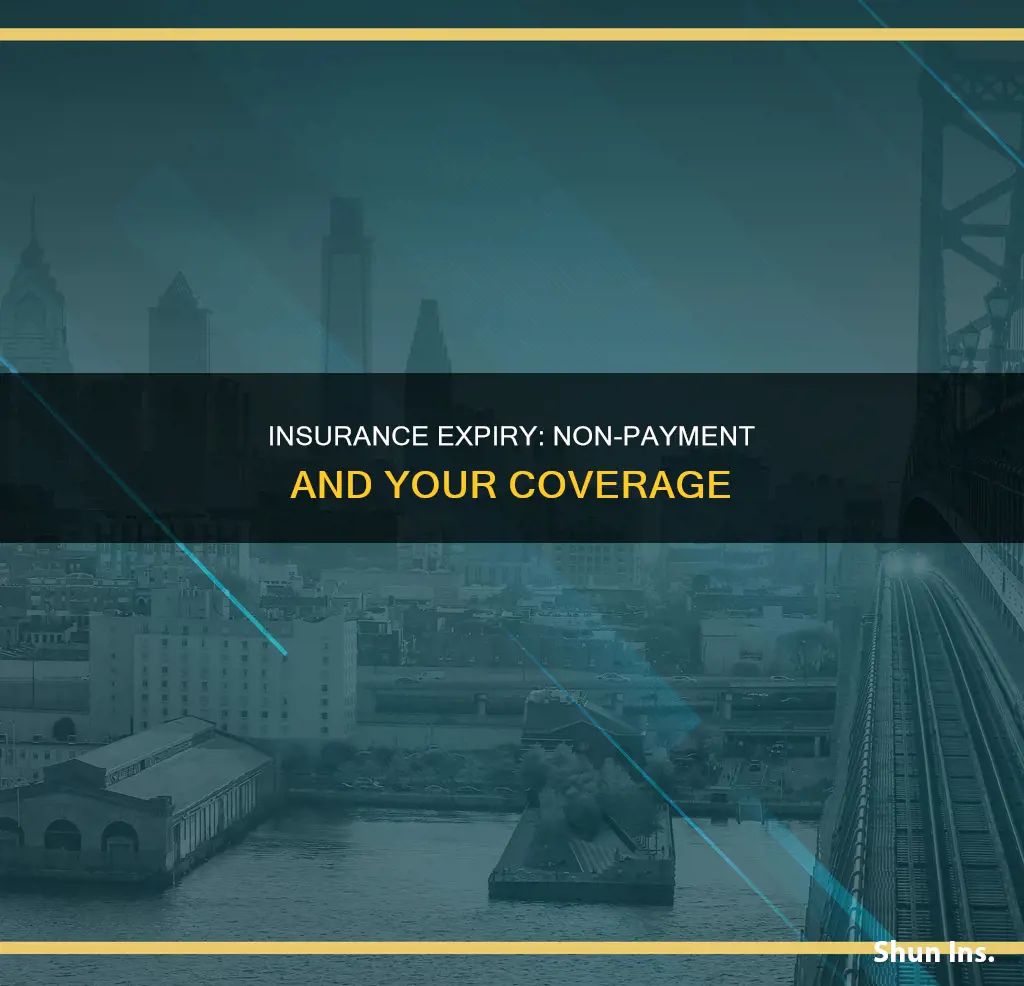 when does your insurance expire due to non payment