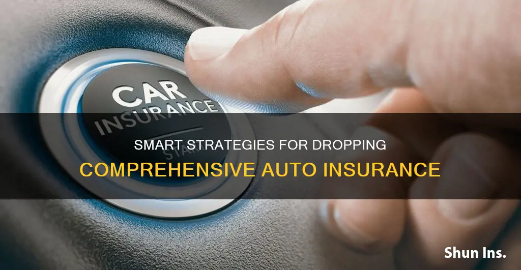 when drop comprehensive auto insurance